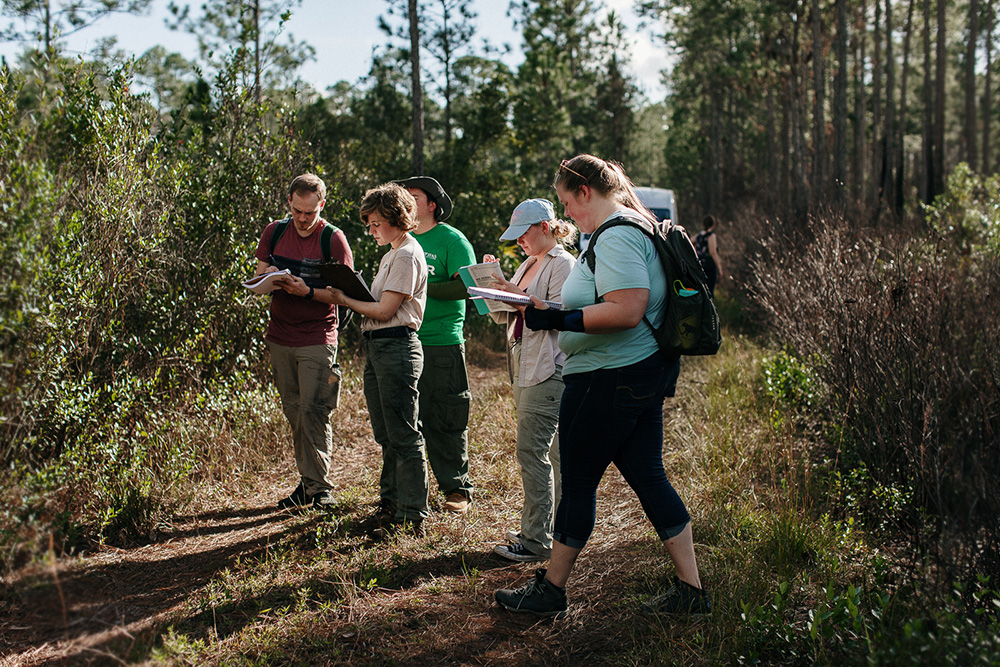 UF-Forestry-Students-in-Cary-Forest