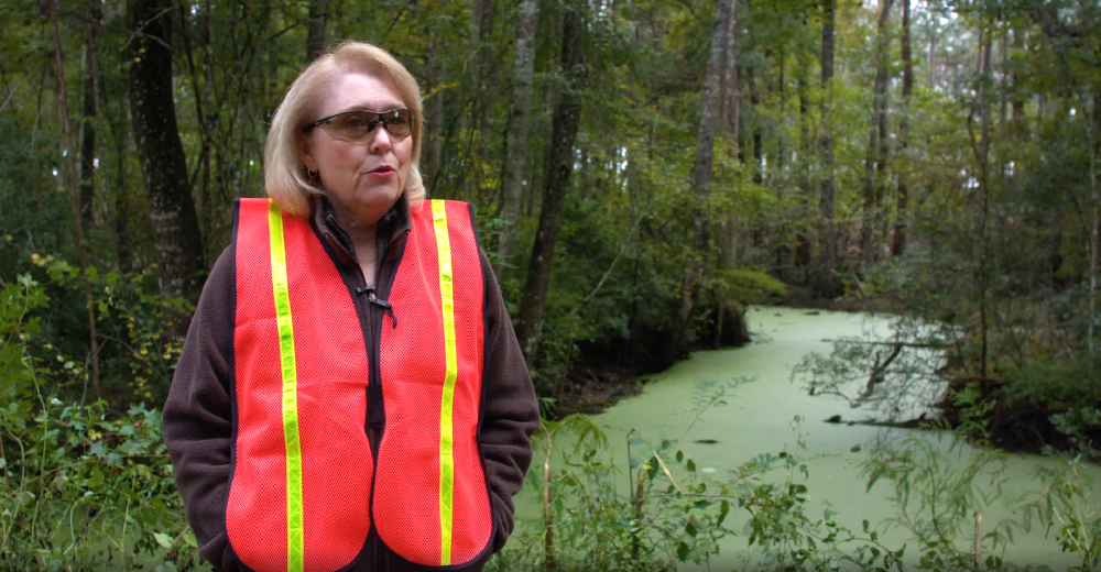 Janet Price New England Forestry Enviro Affairs