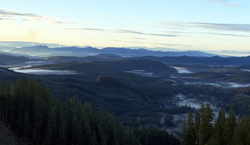 Panoramic Forest View New England Forestry Oregon