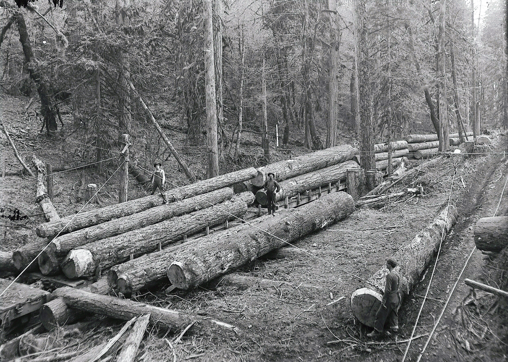 Loading logs onto Railroad cars early 1900s