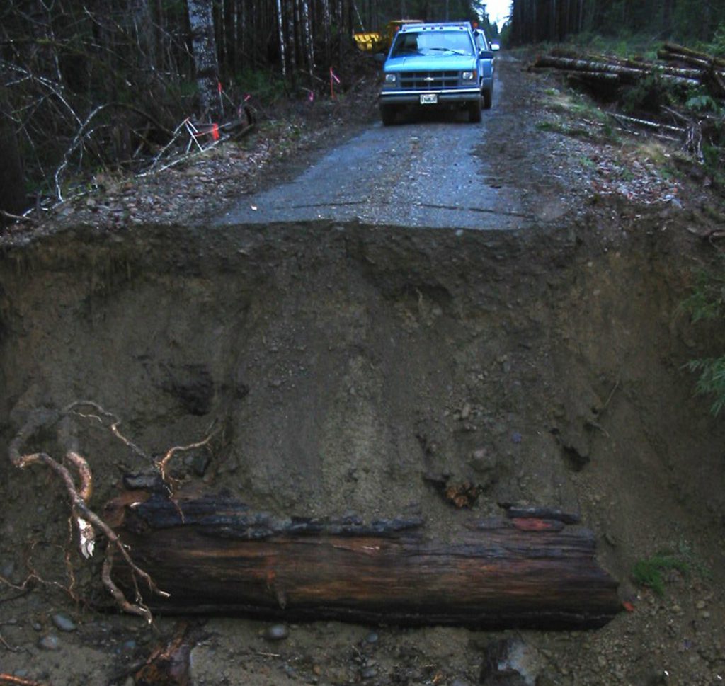 Forest Road Washout