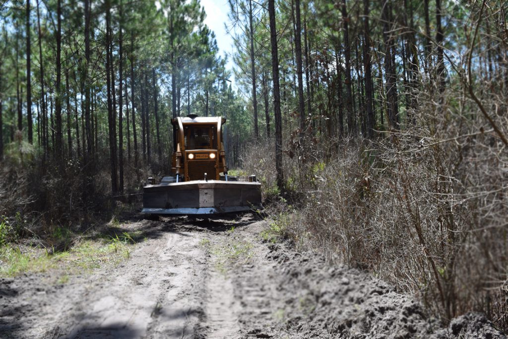 Plowing a Fire Line Forest Management