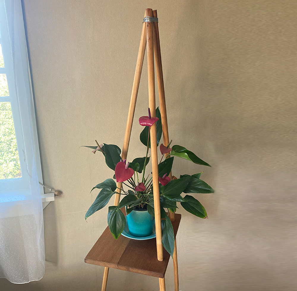 DIY wooden plant stand Sam made with a pink flowering potted plant on it