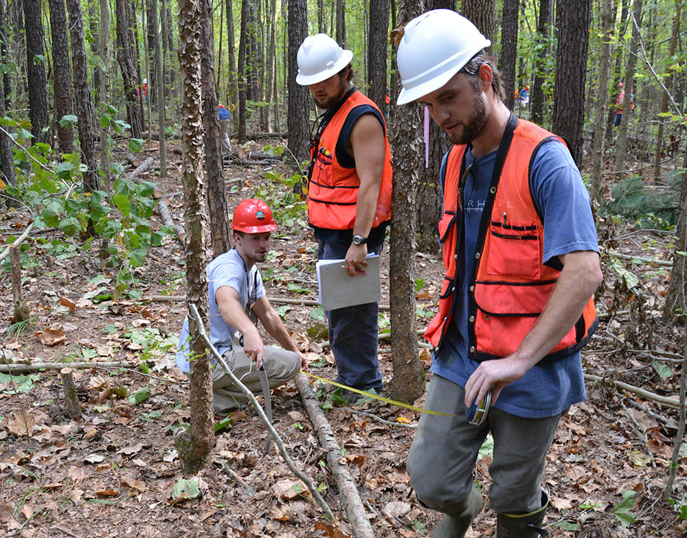 Students measure a tree in the forest