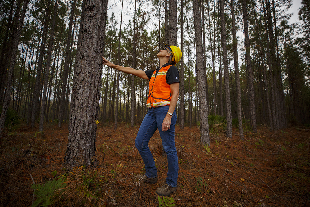 Terri checks a tree