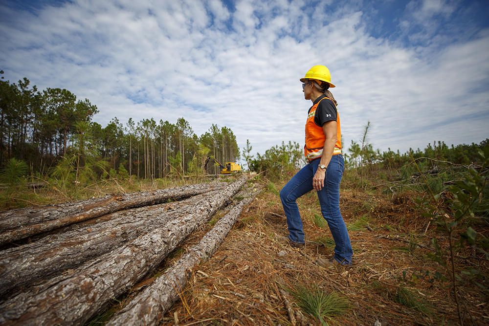 Forester stands next to timber in field