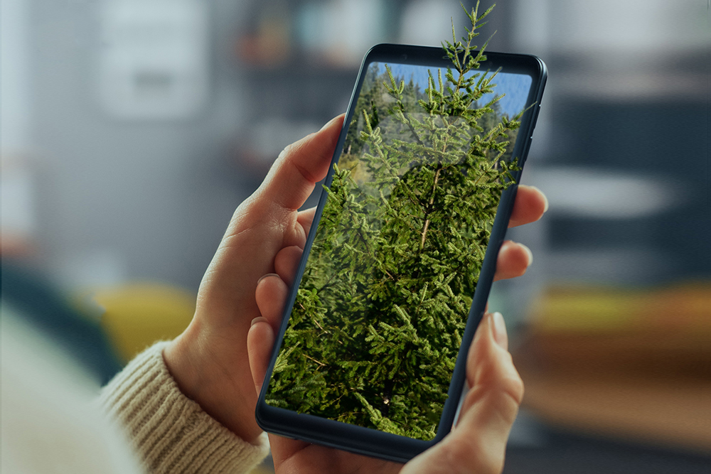 coneptual image of tree growing out of phone screen