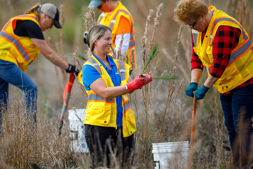 Two women in safety vests work together to plant a New England Forestry pine tree by hand