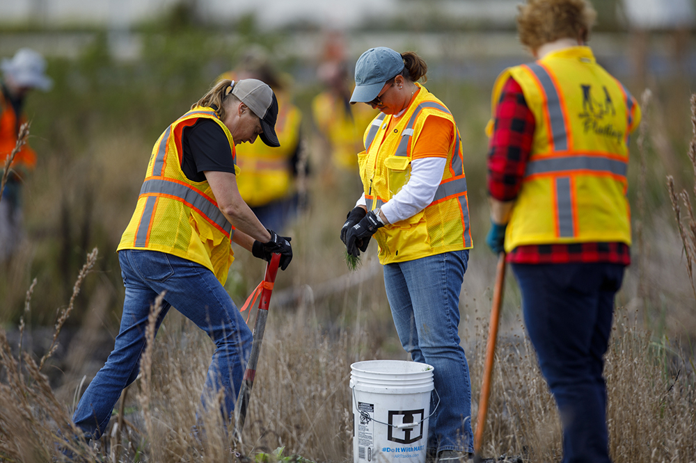 A woman digs a hole while another holds a seedling