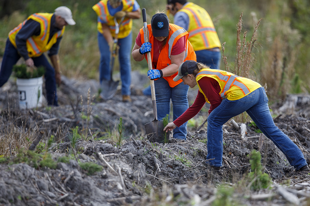 Two women work together to hand plant a seedling