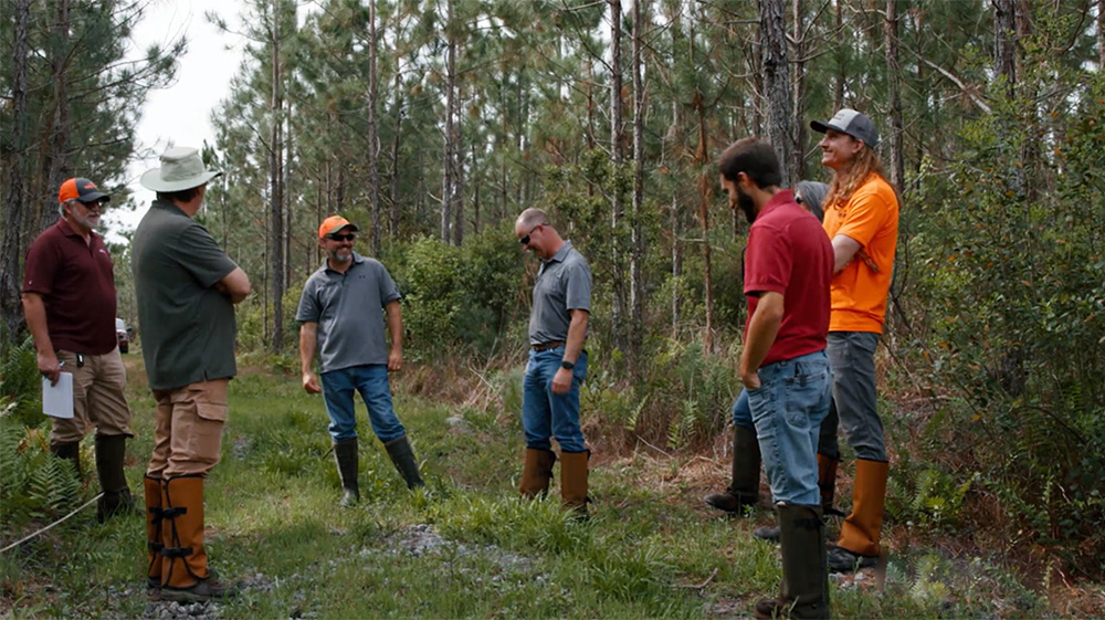 SFI auditor Richard Boitnott talking to a group of New England Forestry employees during a field audit near Lake City, Florida.