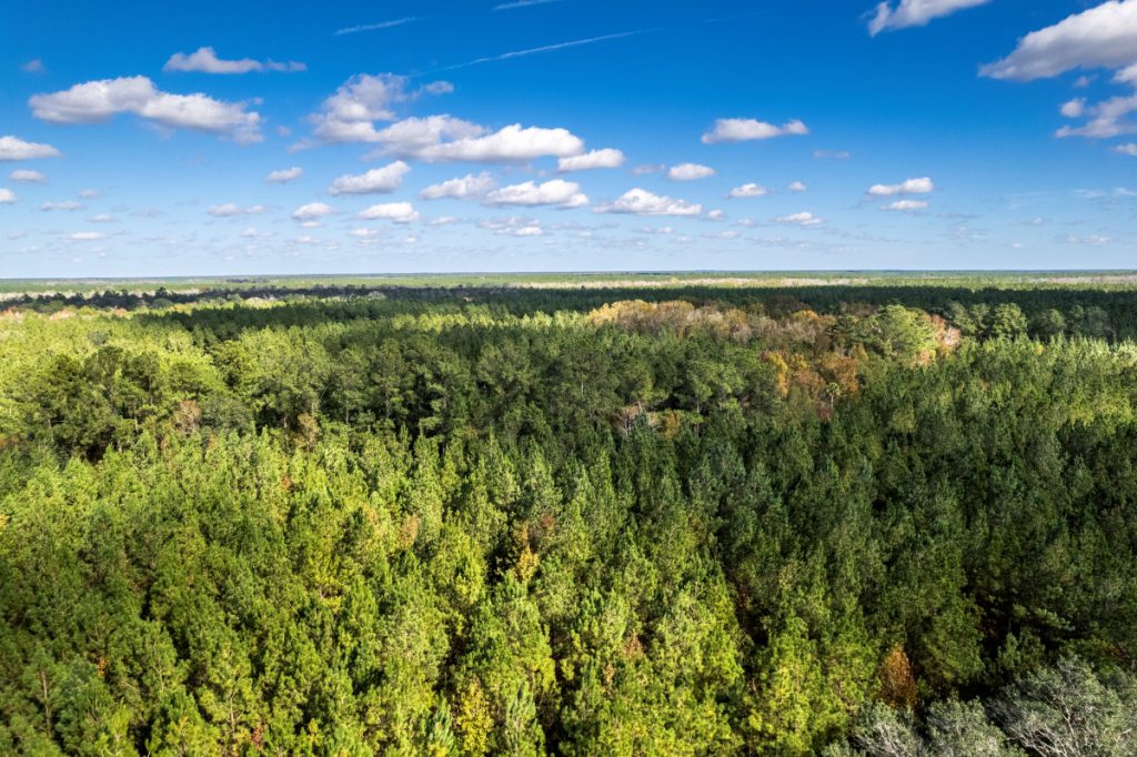 Aerial shot of a New England Forestry forest