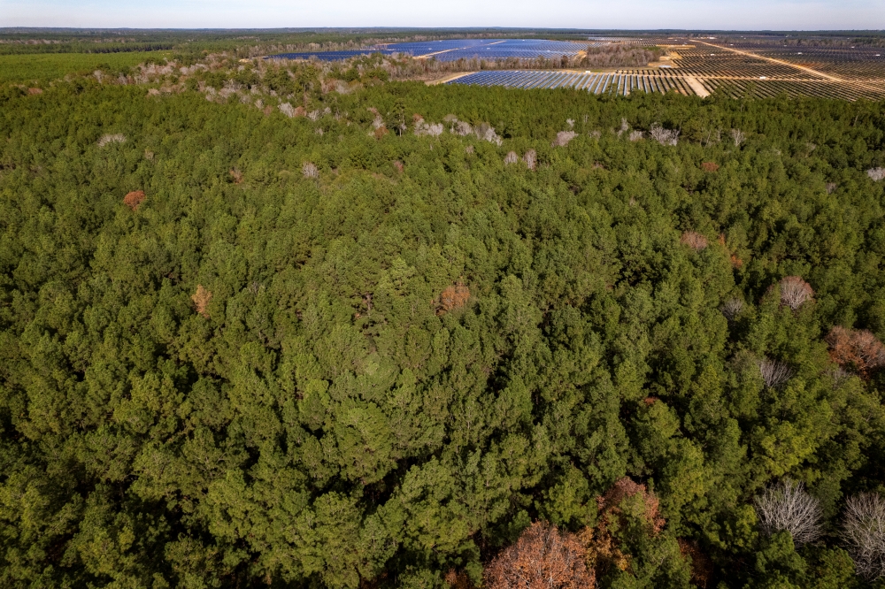 An overview shot of a forest in the foreground with the collection of solar panels in the distance.